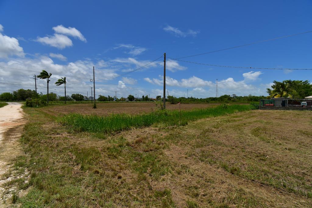 listing image with ID 25424
