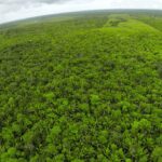 listing image thumbnail with ID 23343