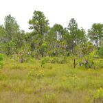 listing image thumbnail with ID 24172