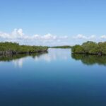 listing image thumbnail with ID 24205