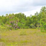 listing image thumbnail with ID 24170