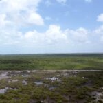 listing image thumbnail with ID 23692