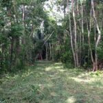 listing image thumbnail with ID 21837