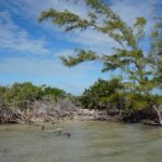 listing image thumbnail with ID 27016