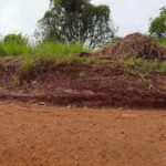 listing image thumbnail with ID 23356