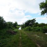 listing image thumbnail with ID 23811