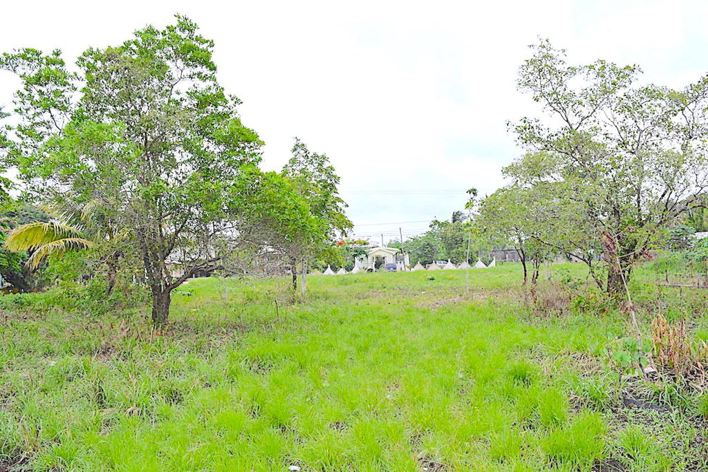 listing image with ID 21971