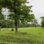 listing image thumbnail with ID 22493