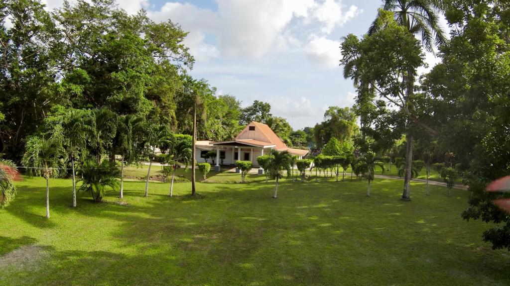 listing image with ID 22908