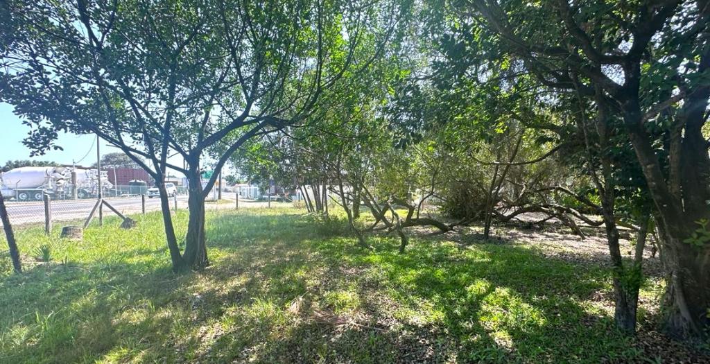 listing image with ID 15012