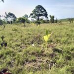 listing image thumbnail with ID 23712