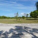 listing image thumbnail with ID 22858