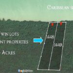 listing image thumbnail with ID 21861