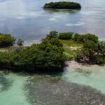 listing image thumbnail with ID 23005