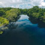 listing image thumbnail with ID 22884