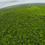 listing image thumbnail with ID 23318