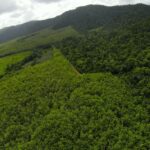 listing image thumbnail with ID 23333