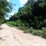 listing image thumbnail with ID 21990