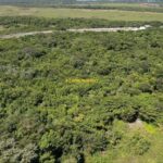 listing image thumbnail with ID 22804