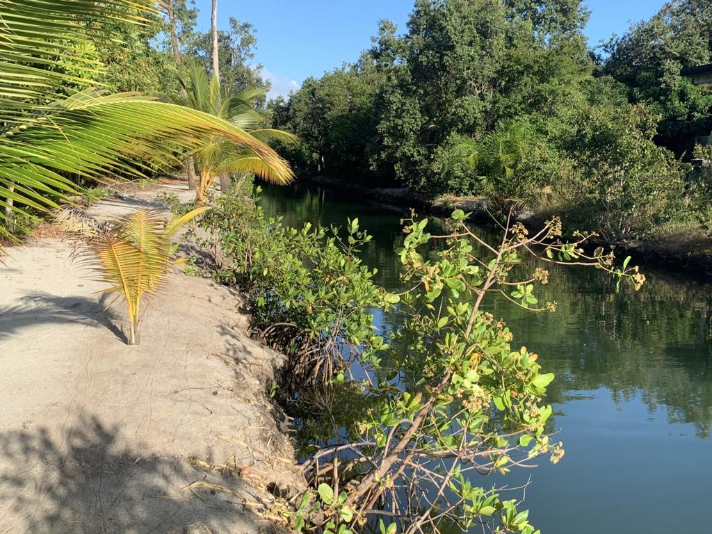 listing image with ID 15983