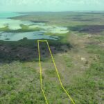 listing image thumbnail with ID 22794