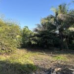 listing image thumbnail with ID 19871