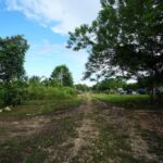 listing image thumbnail with ID 23812