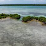 listing image thumbnail with ID 23020