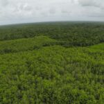 listing image thumbnail with ID 23327