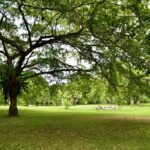 listing image thumbnail with ID 22932