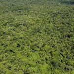 listing image thumbnail with ID 23311