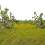 listing image thumbnail with ID 24182