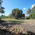 listing image thumbnail with ID 19843