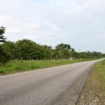 listing image thumbnail with ID 22495