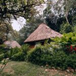 listing image thumbnail with ID 20923