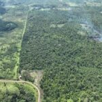 listing image thumbnail with ID 21446