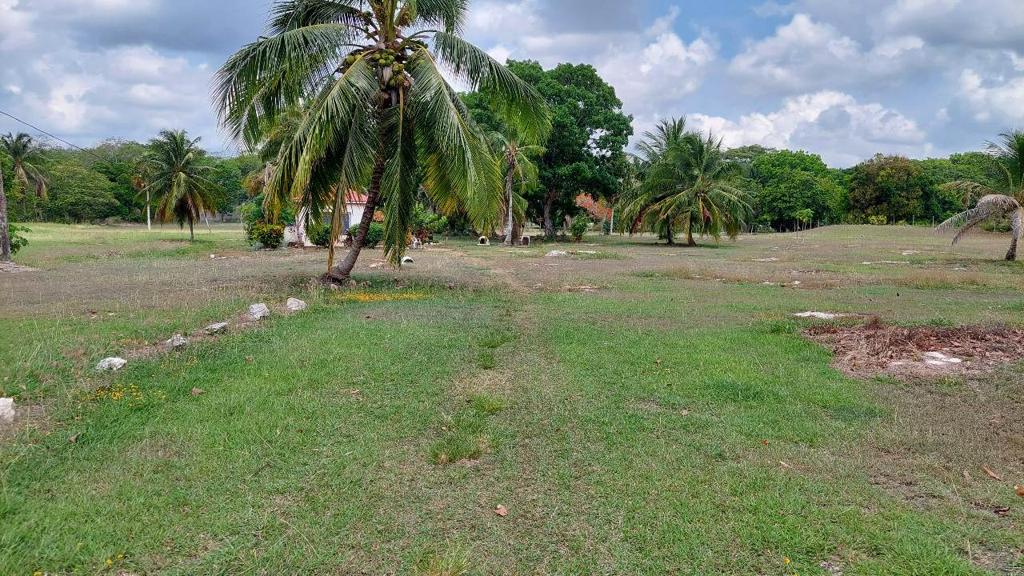 listing image with ID 25010