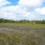 listing image thumbnail with ID 22375