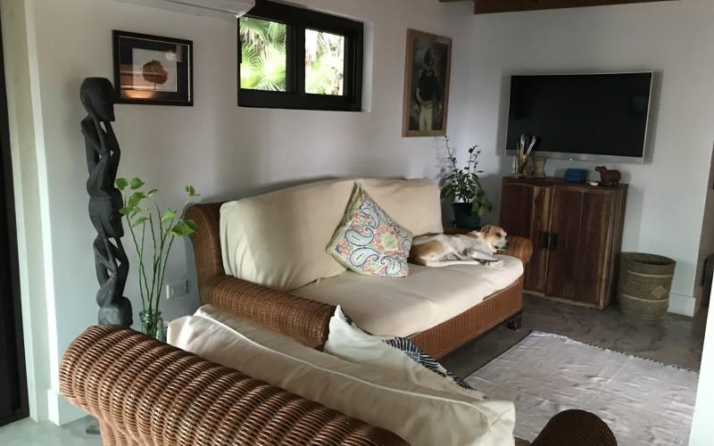 listing image with ID 8877