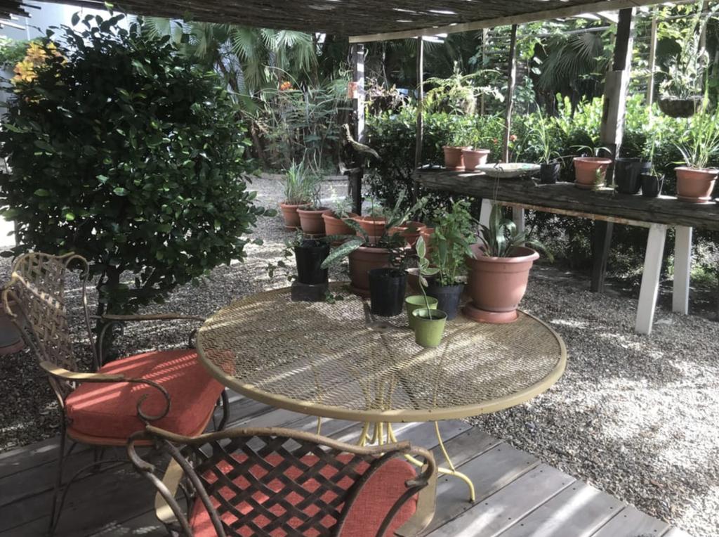 listing image with ID 6807