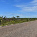 listing image thumbnail with ID 24884