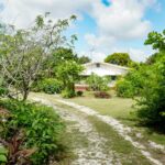 listing image thumbnail with ID 22329