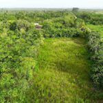 listing image thumbnail with ID 22519