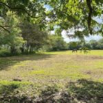 listing image thumbnail with ID 19491