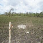 listing image thumbnail with ID 25254