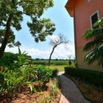 listing image thumbnail with ID 25338