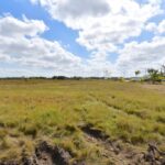 listing image thumbnail with ID 24798