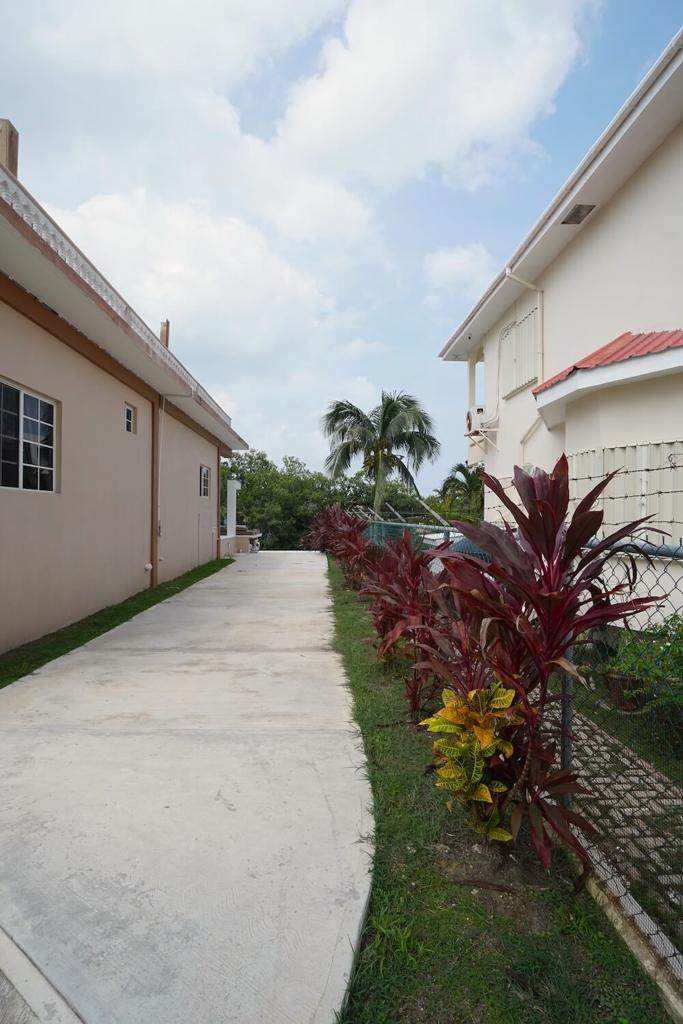 listing image with ID 26561