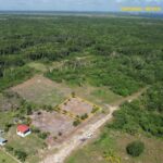 listing image thumbnail with ID 19524