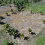 listing image thumbnail with ID 19516